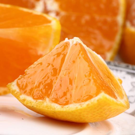 柑橘殺蟲藥有哪些（柑橘花蕾期能打殺蟲藥嗎）