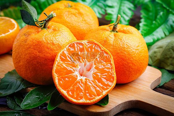 柑橘春季修剪技術要點（柑橘修剪時間和方法）