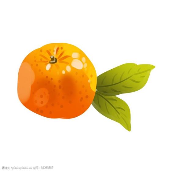 發了芽的柑橘枝條能不能用來嫁接柑橘樹_柑橘芽接技術