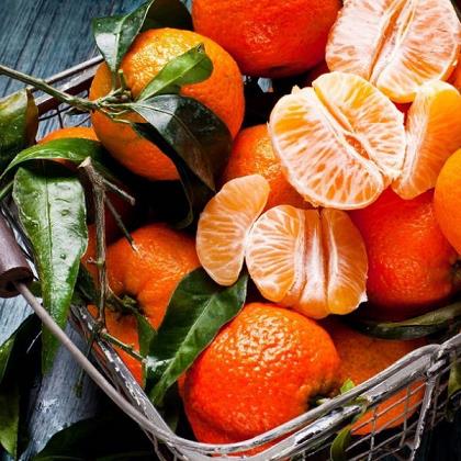 少量柑橘儲藏保鮮技術（柑橘留樹保鮮技術）