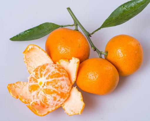 顏值與口感并存，陽光1號成為柑橘界大熱門