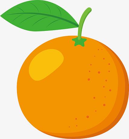 浙江有哪些柑橘品種，浙江柑橘品種介紹圖解大全