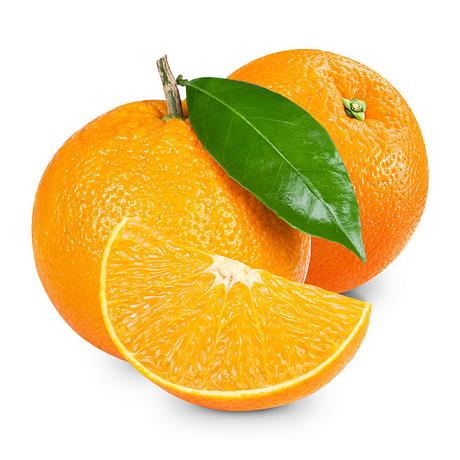 柑橘生產管理成本