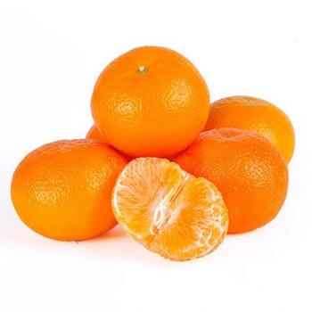 陽光一號柑橘：圖解種植技巧